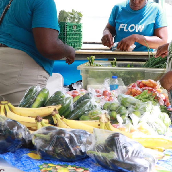 Farmers from the communities of Monchy and Babonneau receive health screening and education artwork