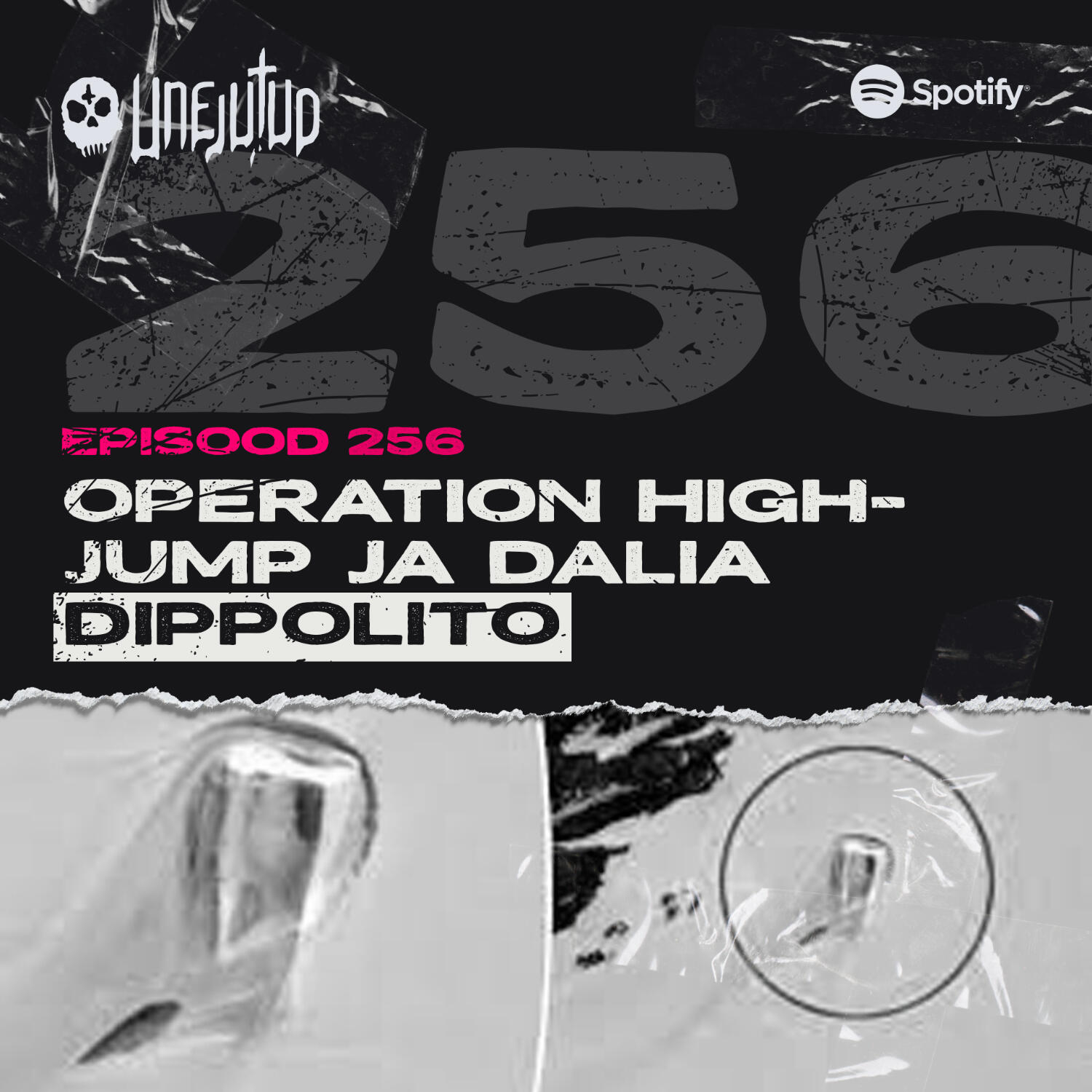 Unejutud - Operation Highjump ja Dalia Dippolito