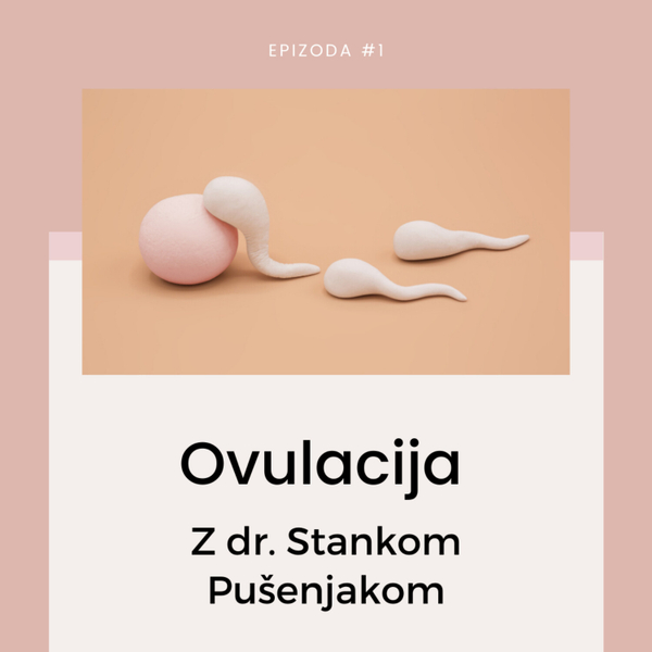 Kako lahko napovemo ovulacijo artwork