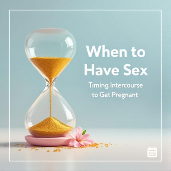 When To Have S.e.x: Timing Intercourse to Get Pregnant artwork