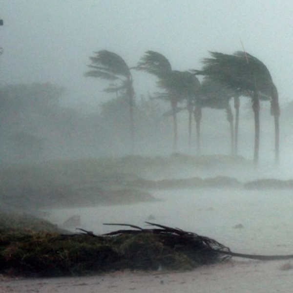 Environmental Health Division Highlights Key Preparedness Measures for the Hurricane Season artwork