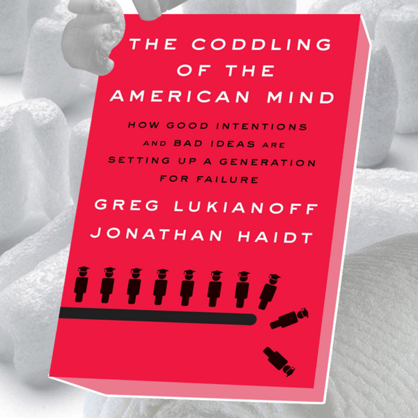023 |  The coddling of the american mind de Jonathan Haidt et Greg Lukianoff artwork