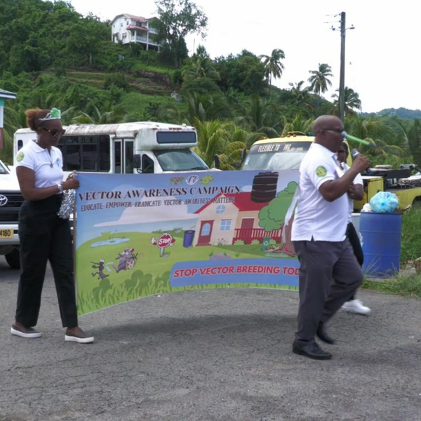 Vector Awareness Week artwork