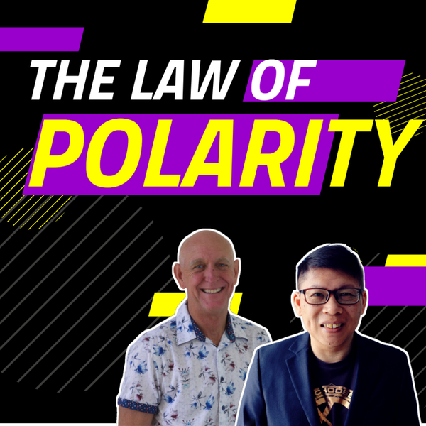 The Law of Polarity artwork