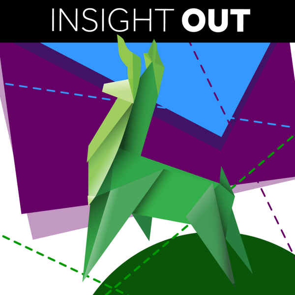 Insight Out artwork
