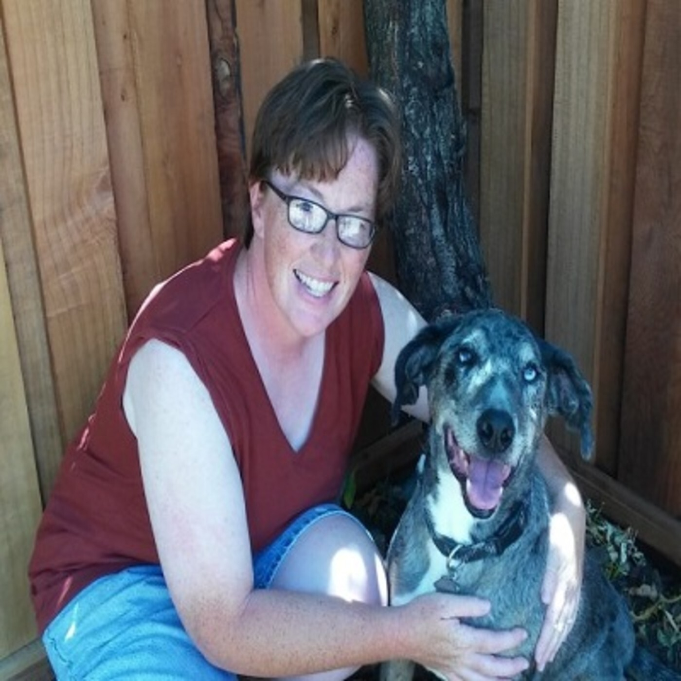 LET\'S TALK PETS - PATTY GIARRUSSO