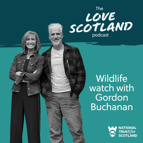 Wildlife watch with Gordon Buchanan artwork