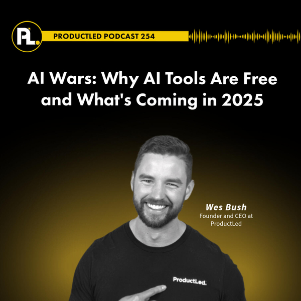 AI Wars: Why AI Tools Are Free and What's Coming in 2025 artwork