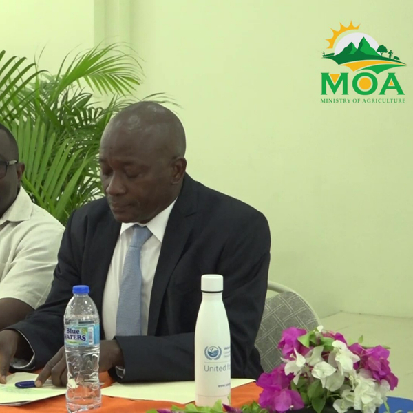 Launch of Second Phase of LDN artwork