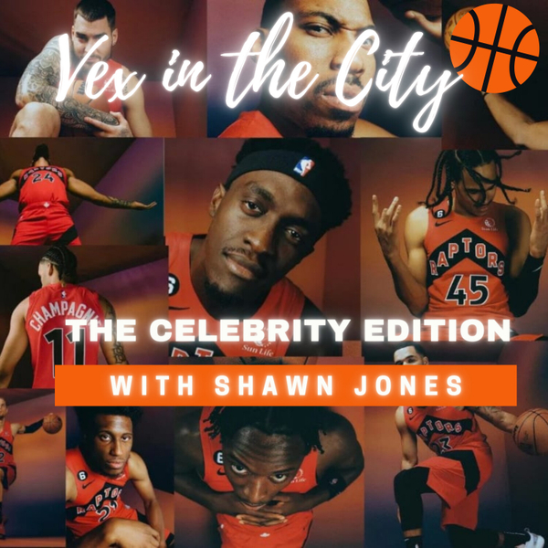 VEX IN THE CITY: THE CELEBRITY EDITION artwork