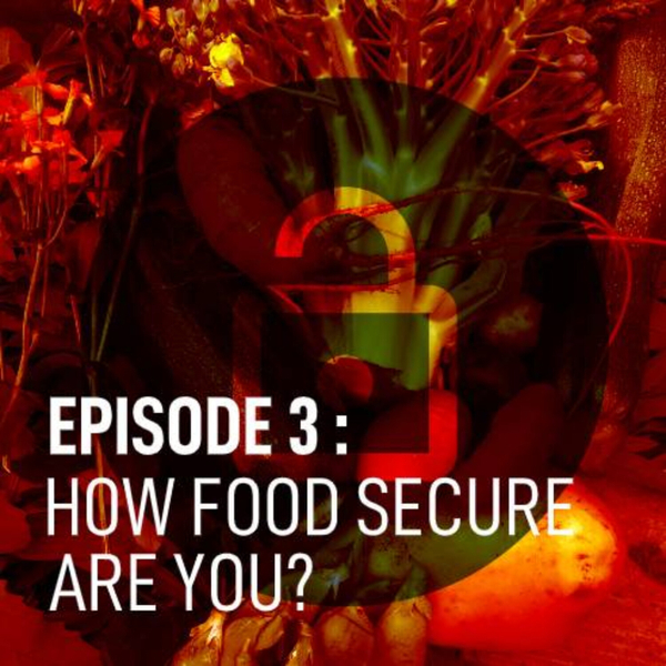 How Food Secure Are You? artwork