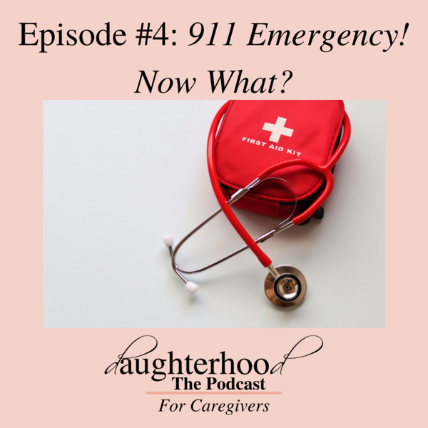 911 Emergency! Now What? artwork
