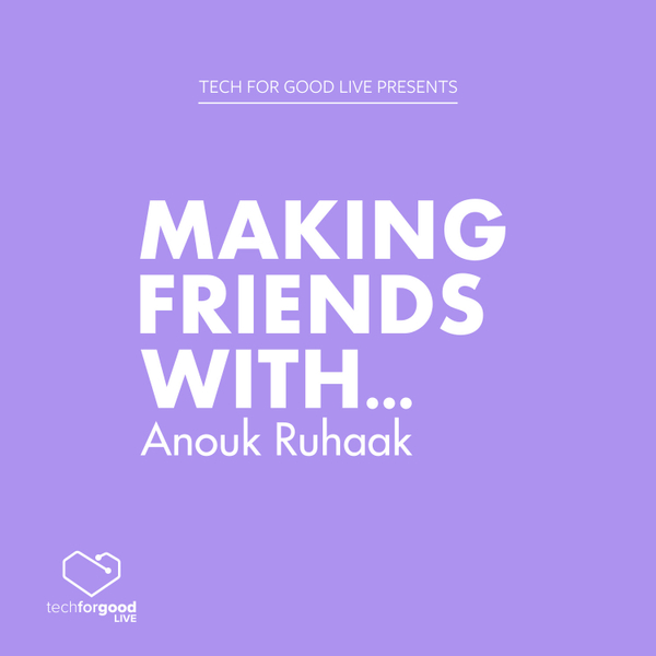 Making Friends With... Anouk Ruhaak artwork