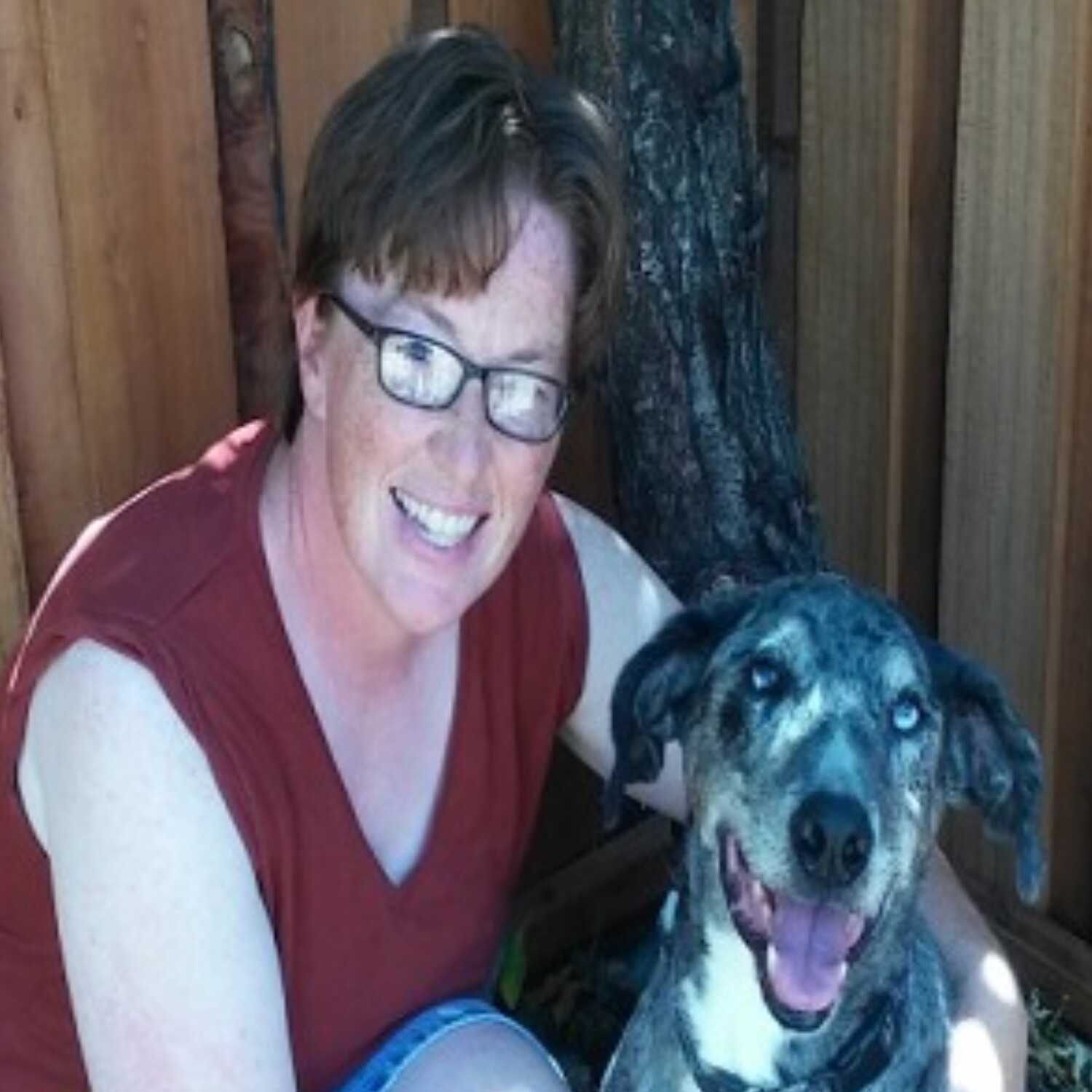 LET\'S TALK PETS - PATTY GIARRUSSO