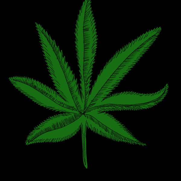THC: lo que se esconde detrás de marihuana (tráiler) artwork