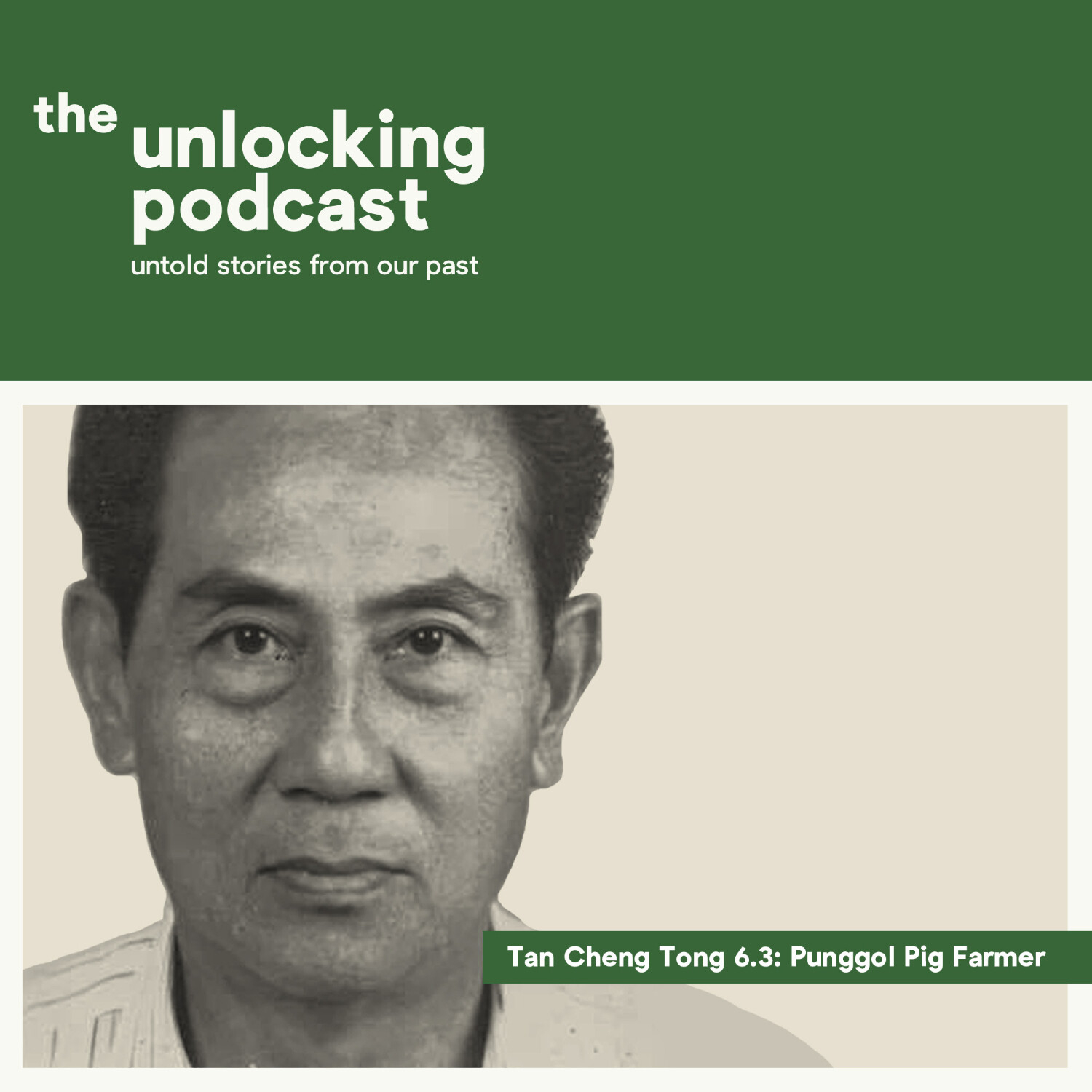 The Unlocking Podcast: Untold Stories From Our Past