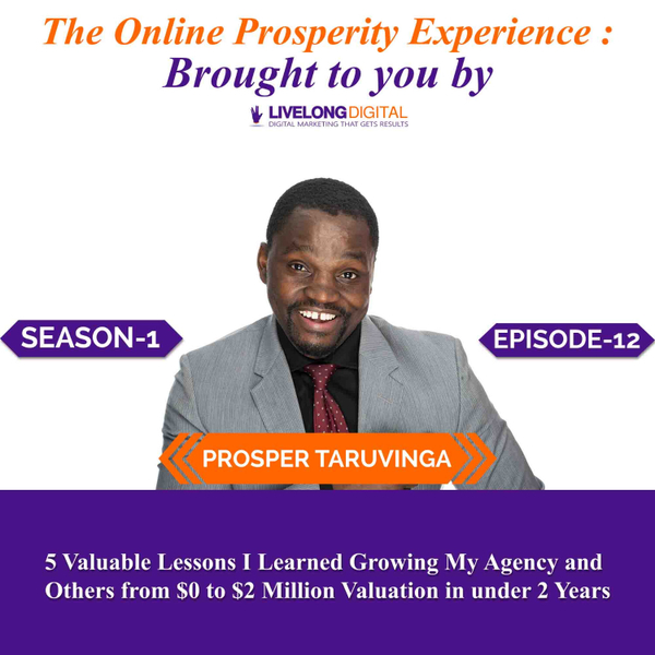 5 Valuable Lessons I Learned Growing My Agency and Others from $0 to $2 Million Valuation in under 2 Years artwork