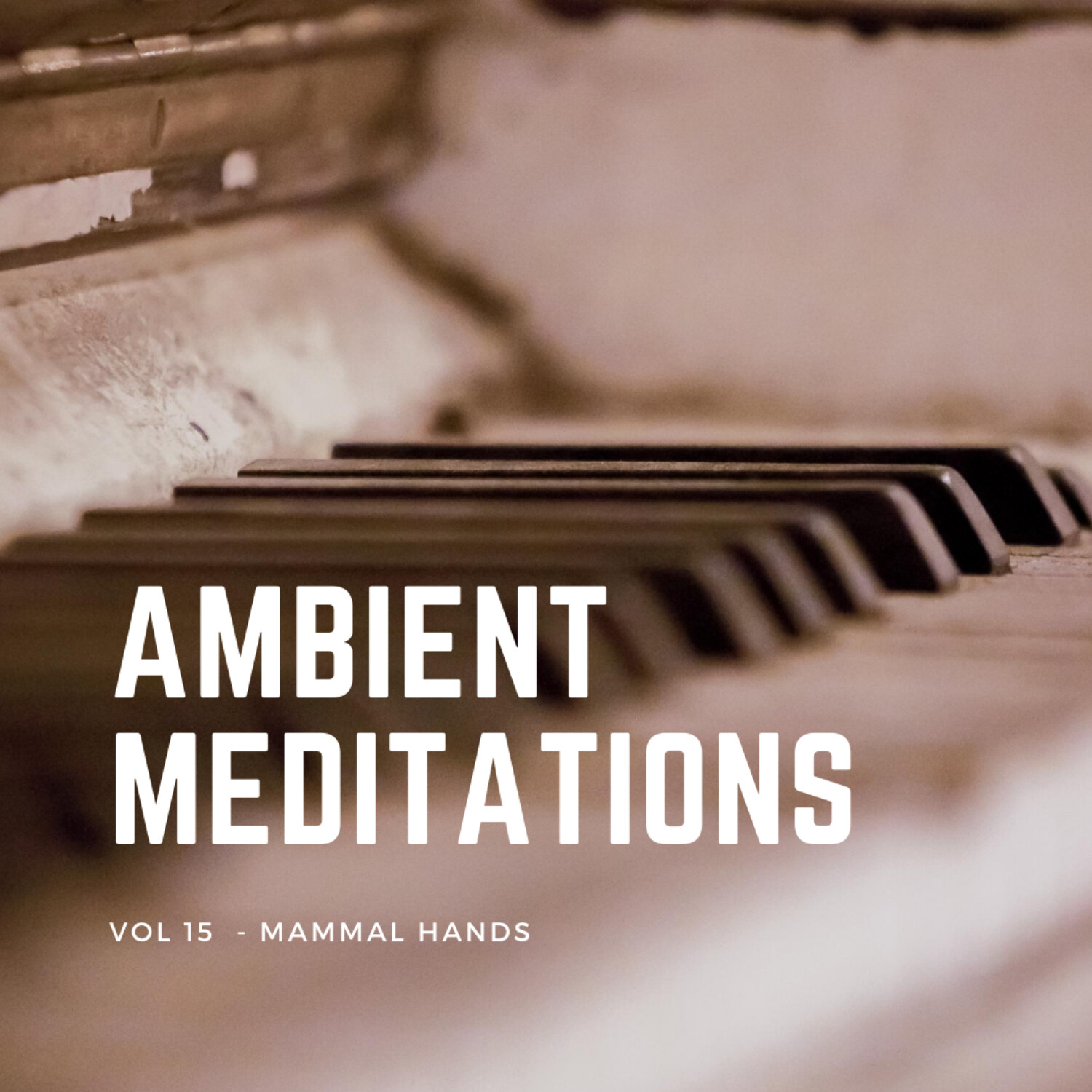 Magnetic Magazine Presents: Ambient Meditations Podcast