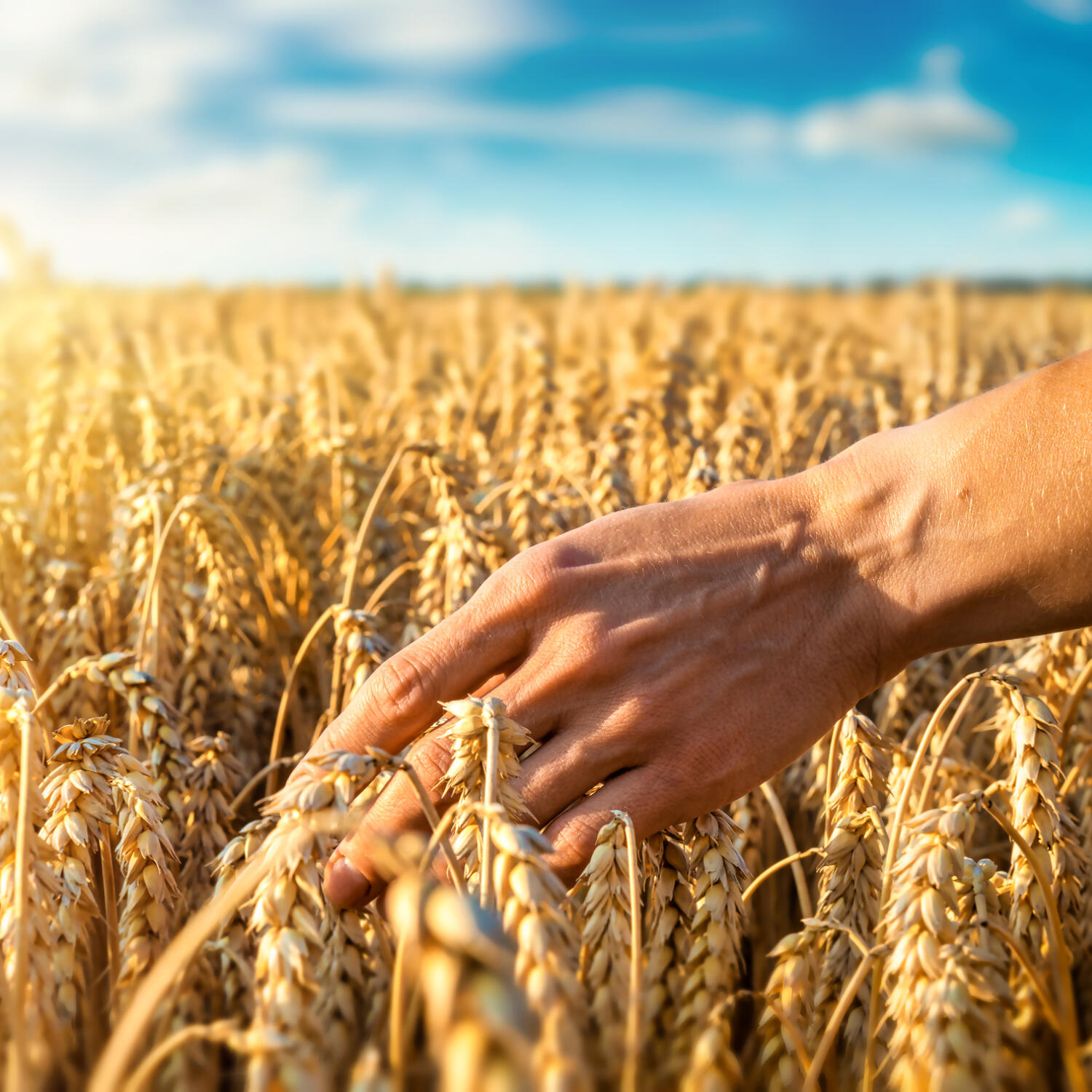 Rozeznávat Boží vůli v jeho lásce k člověku