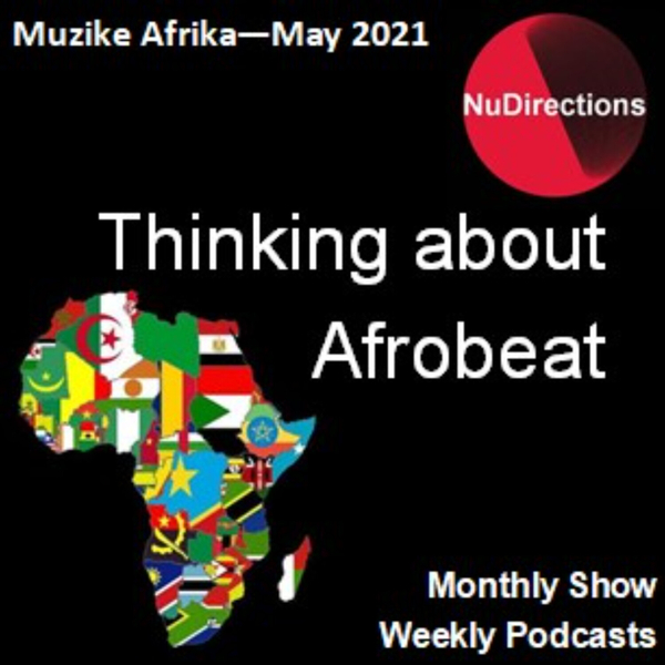 Thinking About Afrobeat artwork