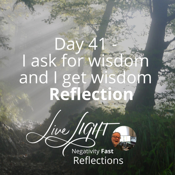 Negativity Fast Reflection - Day 41 - I Ask For Wisdom And I Get Wisdom artwork