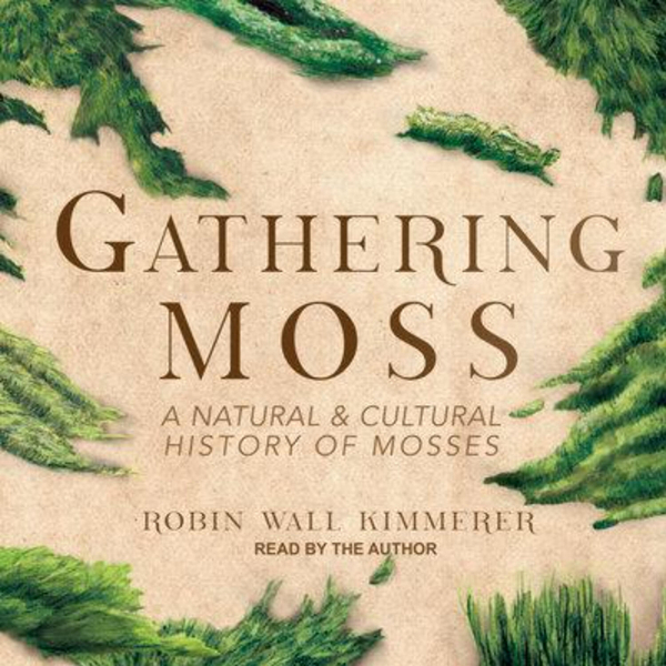 Whispers of the Forest: The Wisdom of Moss in Robin Wall Kimmerer's 'Gathering Moss' artwork
