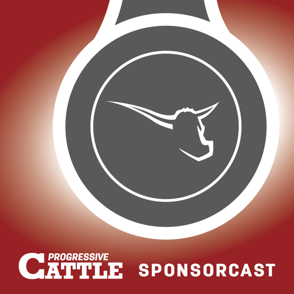Mineral: Your key to optimal cattle performance (Sponsored Podcast) artwork