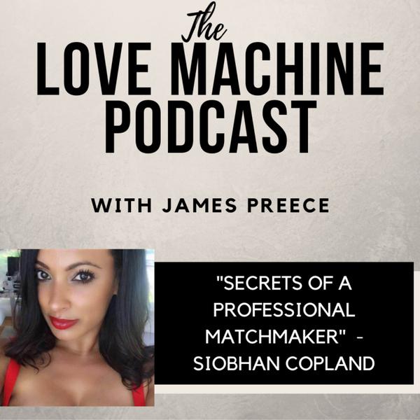 Secrets of a Professional Matchmaker artwork