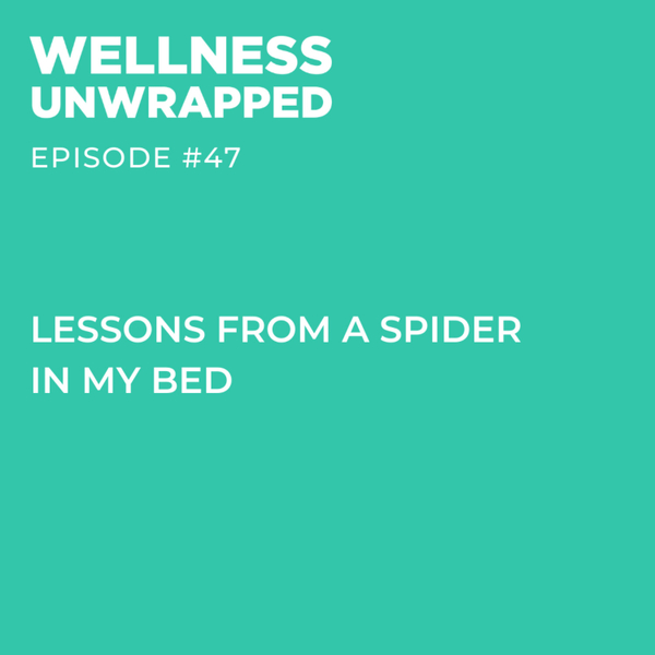 Lessons from a spider in my bed artwork