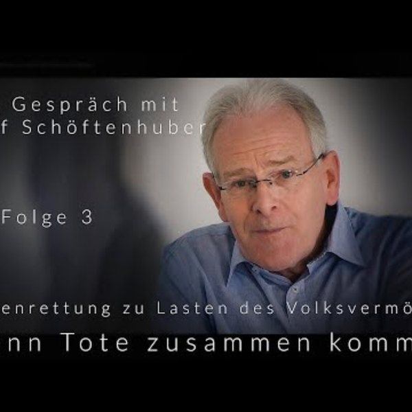 Bankenrettung_zu_Lasten_des_Volksvermögens - Folge 3 - im Gespräch mit Josef Schöftenhuber - blaupause.tv artwork