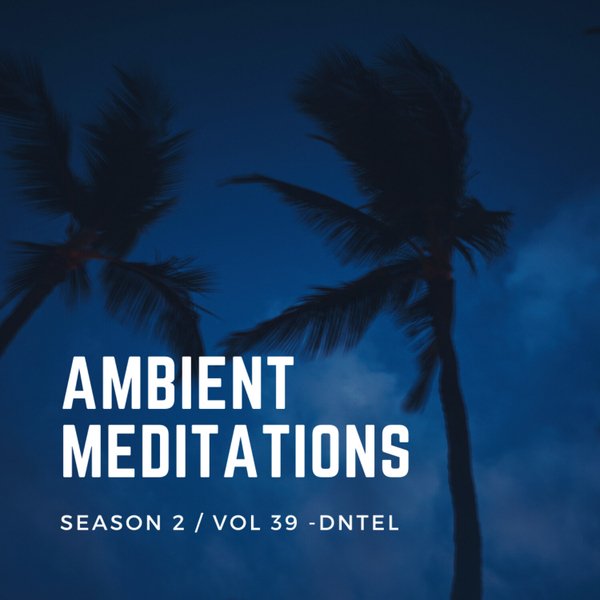 Magnetic Magazine Presents: Ambient Meditations Season 2 -  Vol 39 - Dntel artwork