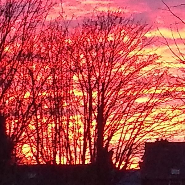 Mistys Mellow Mix – February – 2023 artwork