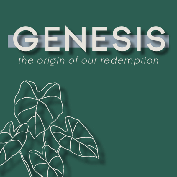 Genesis | Practicing the Image of God artwork