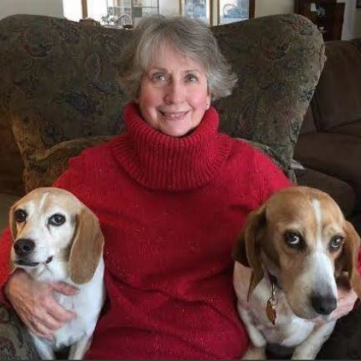 LET\'S TALK PETS - PATTY GIARRUSSO