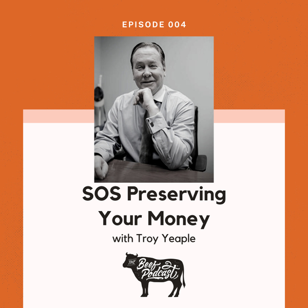 SOS Preserving Your Money - Troy Yeaple artwork