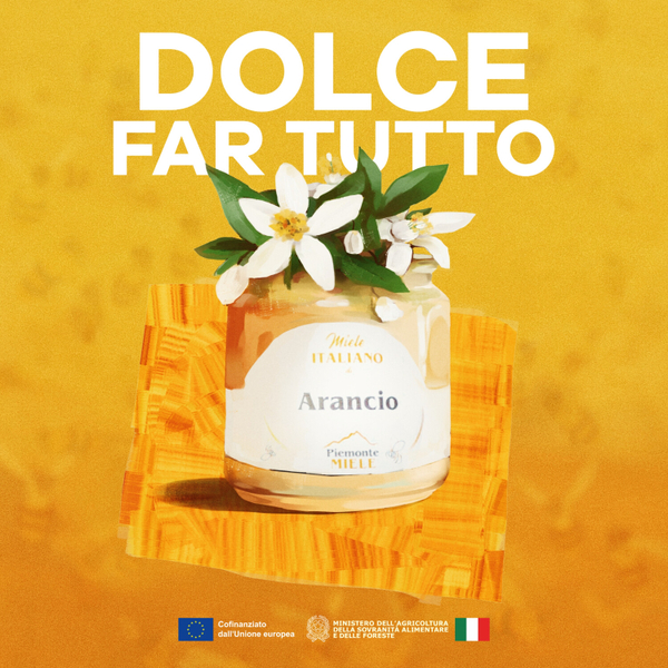 PUNTATA 6 Il miele di Arancio artwork