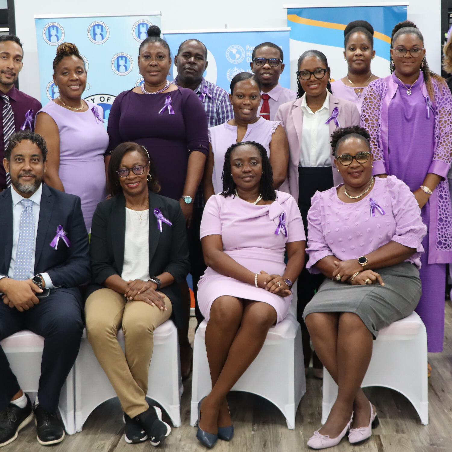 The Ministry of Health officially launches Saint Lucia's National Cancer Registry episode artwork