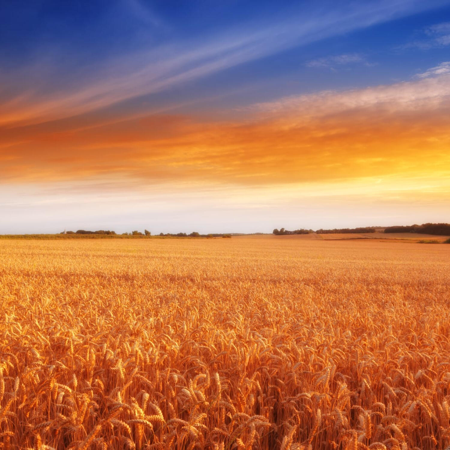 Boží slovo přinášející užitek