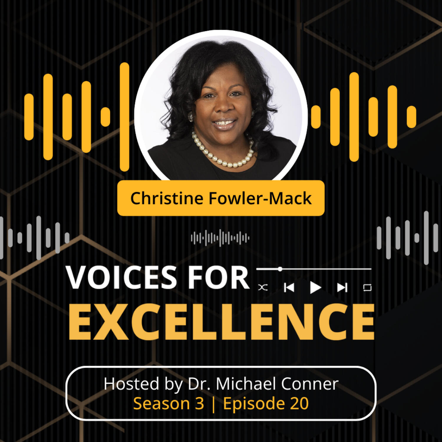Voices for Excellence