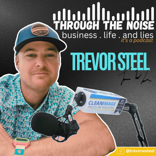 Through The Noise artwork