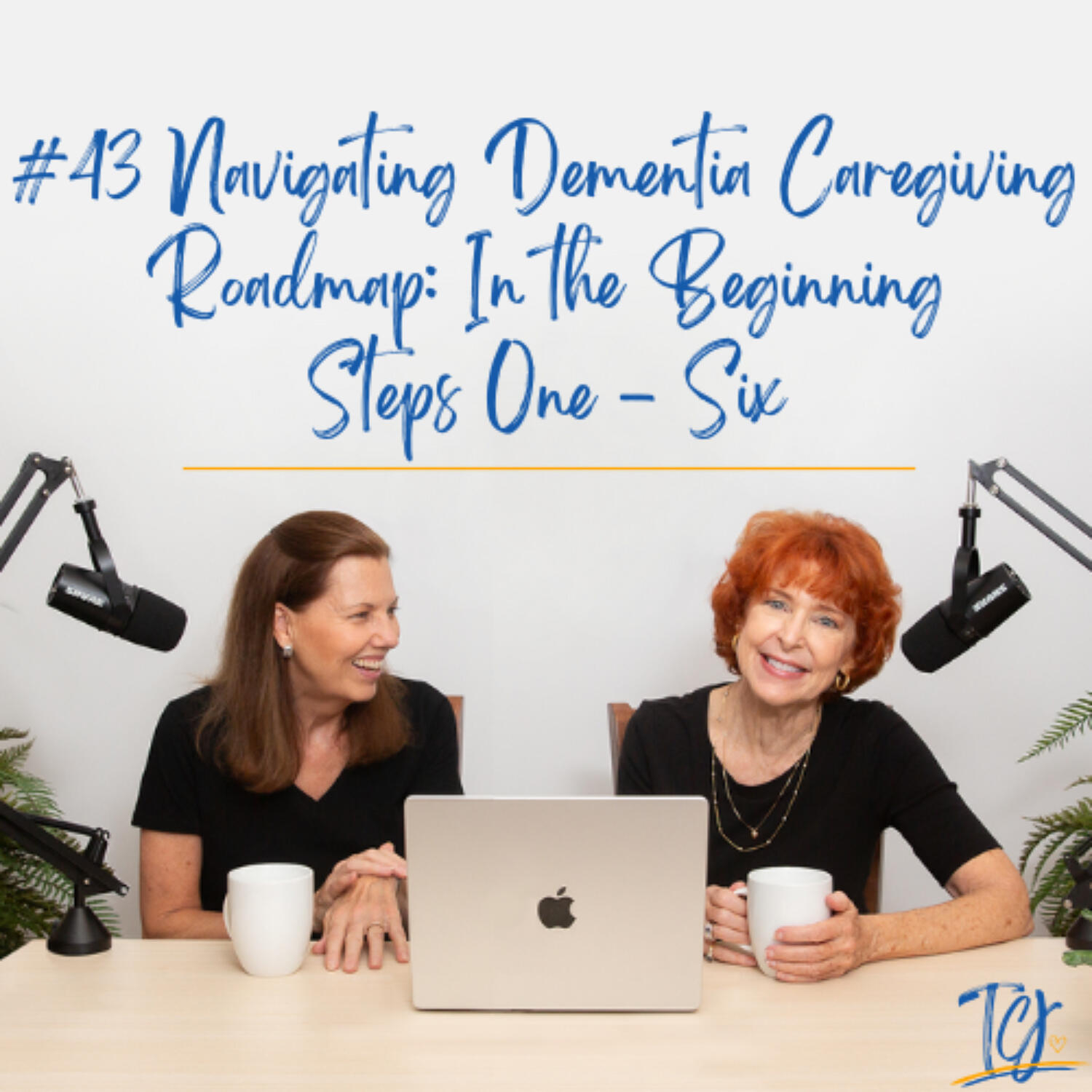 Navigating Dementia Caregiving Roadmap: In the Beginning Steps 1-6 / Alzheimer’s and Other Dementias
