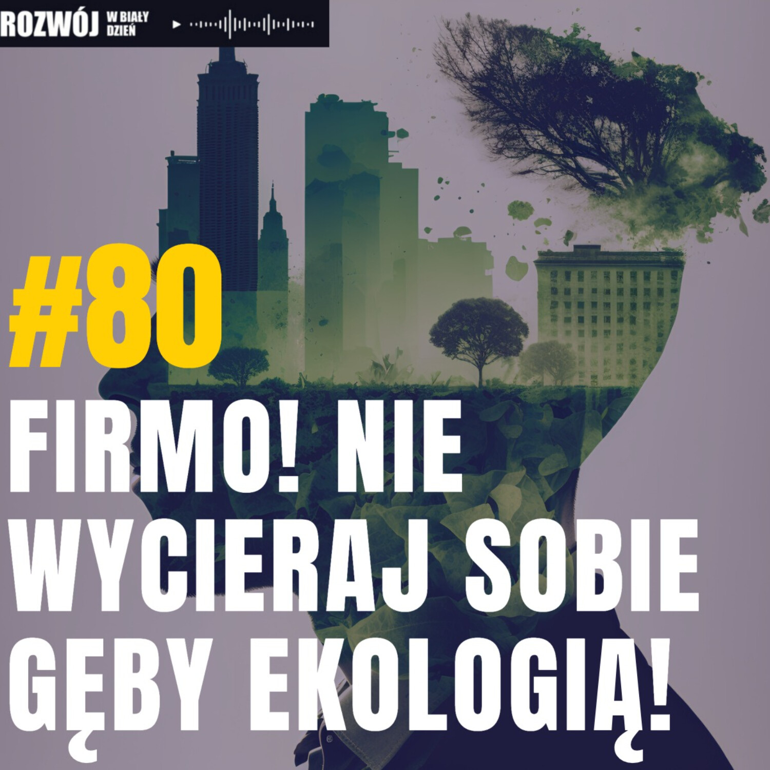 Rozwój w Biały Dzień