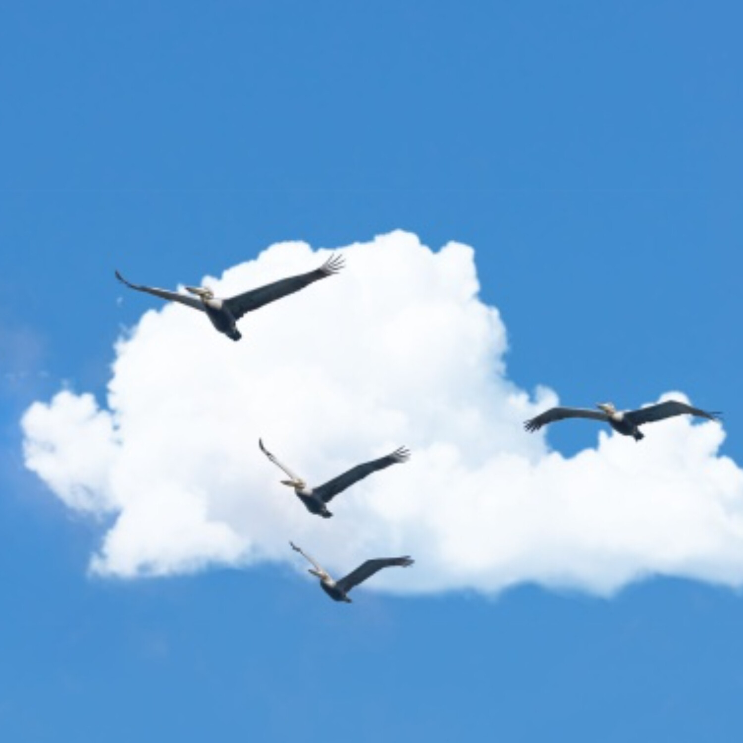 Vzdejme se toho, co zdržuje na cestě za Kristem