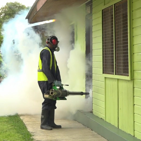 Health Ministry Unveils Multi-Faceted Approach to Mosquito Control Amid Dengue Risks artwork