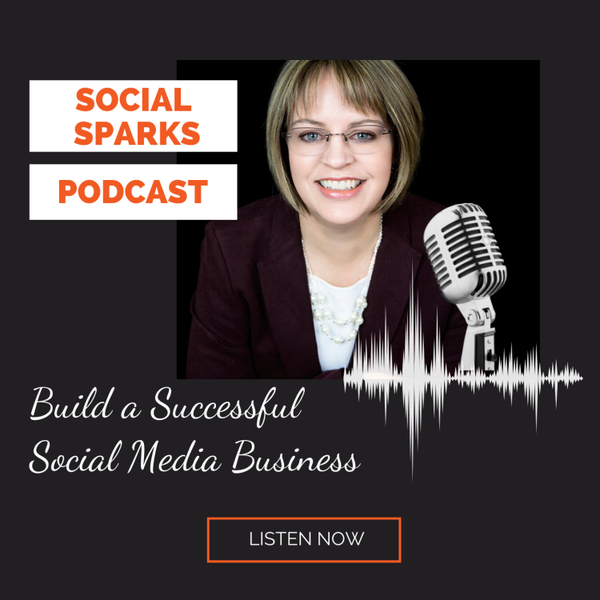 Social Sparks: Build A Successful Social Media Business artwork
