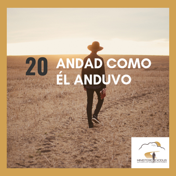 Andad como él anduvo 20 artwork