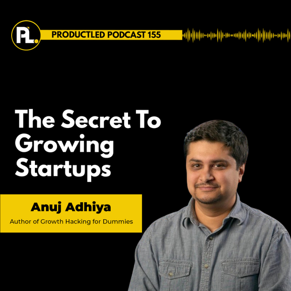 The Secret To Growing Startups With Anuj Adhiya artwork