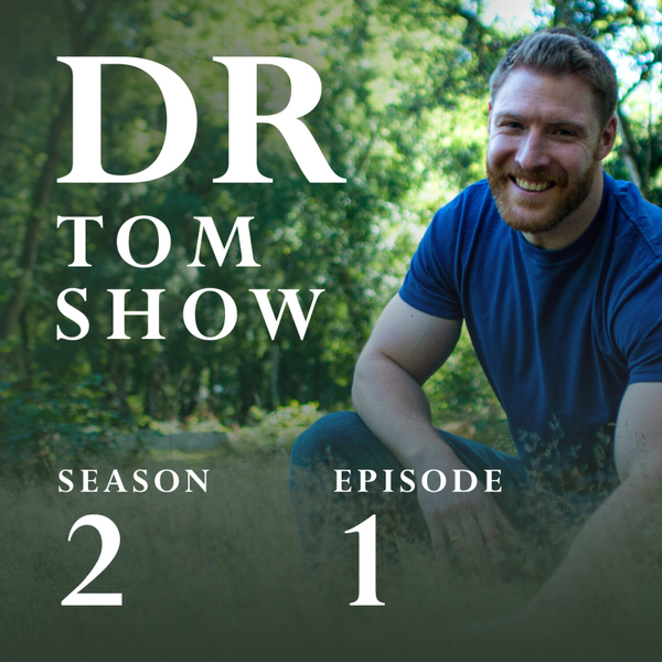 S2 E1 - Welcome to season 2 artwork