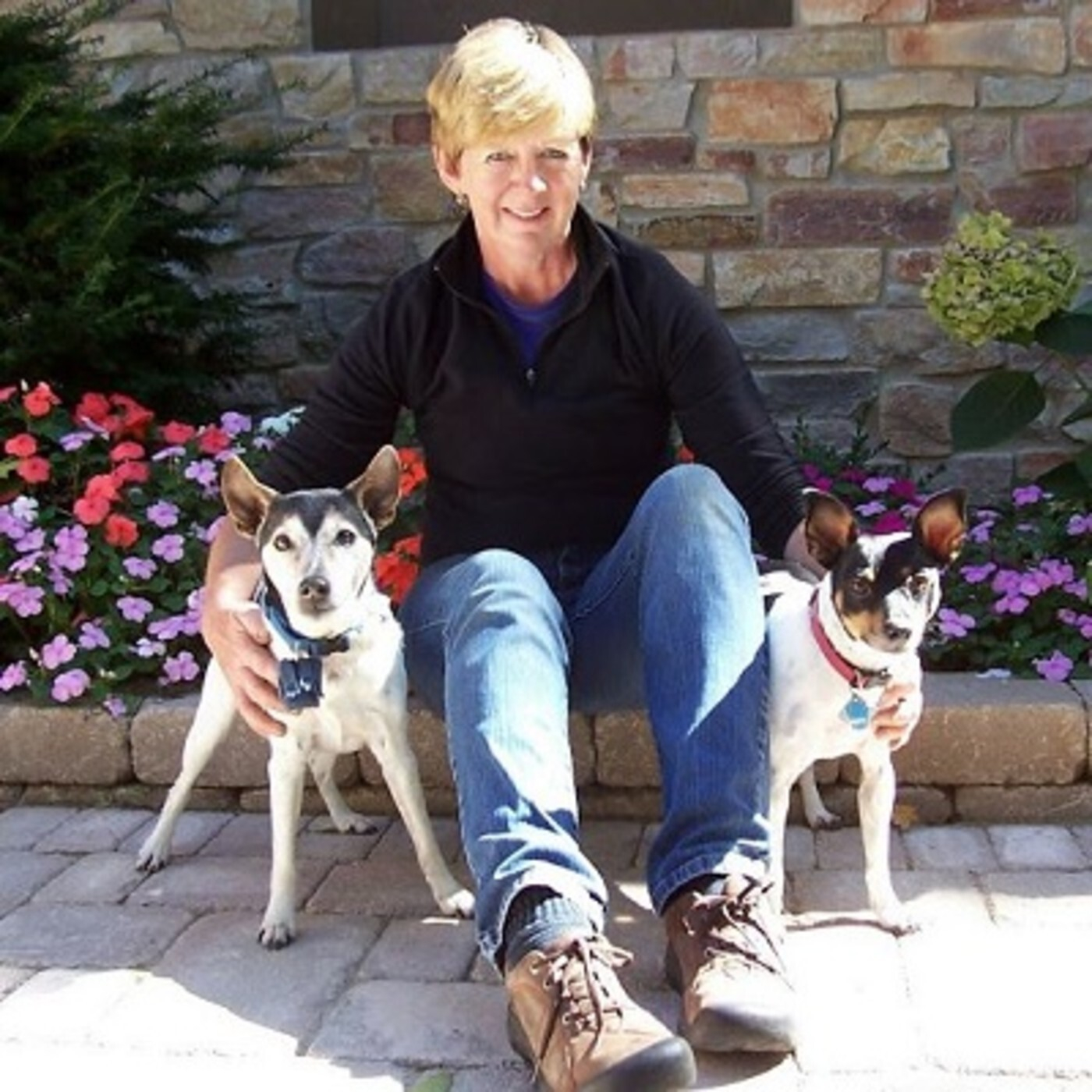 LET\'S TALK PETS - PATTY GIARRUSSO
