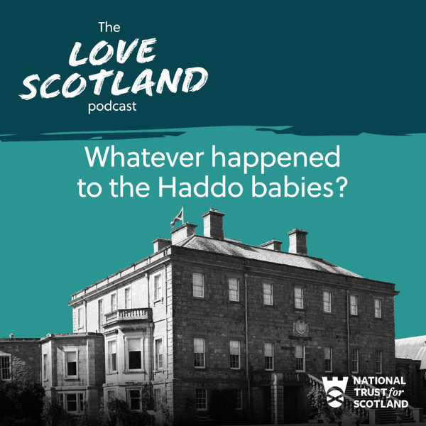 Whatever happened to the Haddo babies? artwork